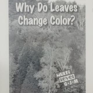 Why Do Leaves Change Color？