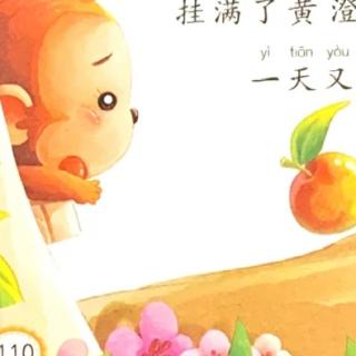 《苹果🍎和桔子🍊》