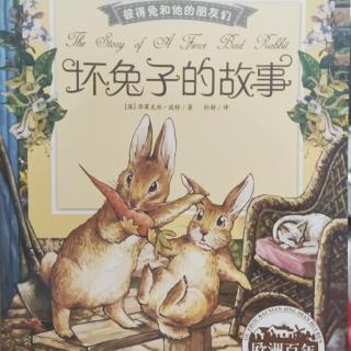 彼得兔和他的朋友们《坏兔子的故事》