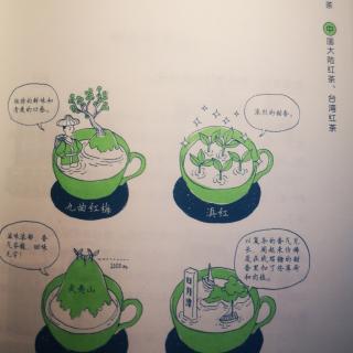 《你不懂茶》—两岸红茶特征、金骏眉、黑茶