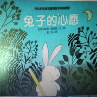 幼专附属幼儿园杜老师——《兔子的心愿》