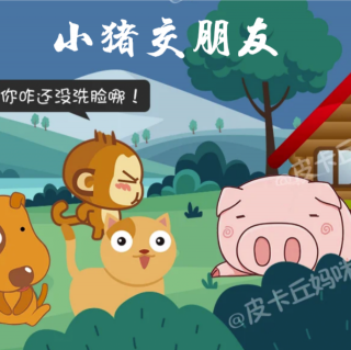 《小猪交朋友》🐷