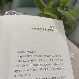 我是谁