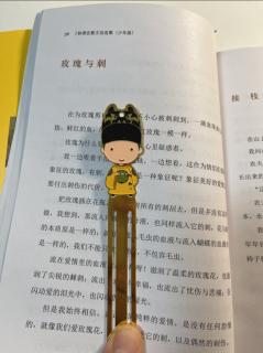 玫瑰与刺