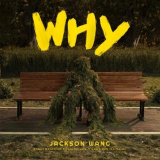 王嘉尔–Why Why Why