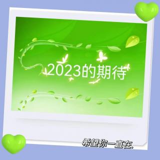 2023年的期待，开启良性循环模式