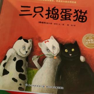 《三只捣蛋猫》—桃子姐姐