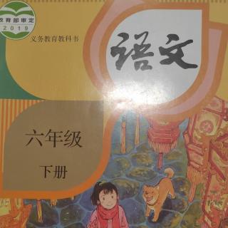 人教版六年级下册第一课《北京的春节》