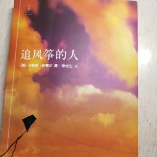 追风筝的人  2