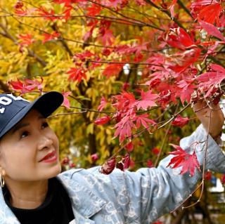 巜赠李仆射愬》王建