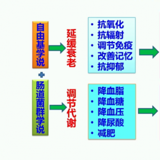 周轶说茶：普洱茶的养生功效（一）