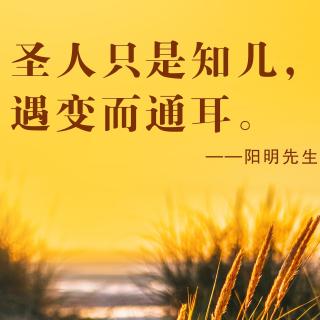 🌹逍遥游【先秦】庄周