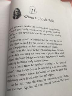 11When apple falls