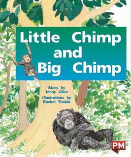 Little chimp and big chimp