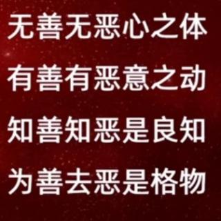 《功夫传习》六组复盘会