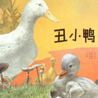 《丑小鸭🦆找妈妈》