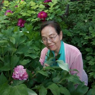 小丽花朗诵《西花厅海棠花的呼唤》作者刘林丽