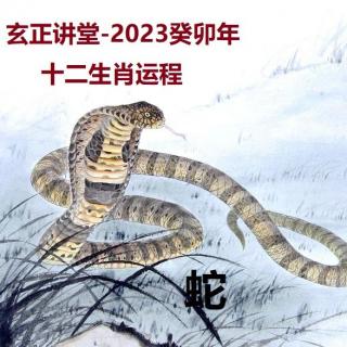 玄正讲堂-2023癸卯年十二生肖运程-蛇