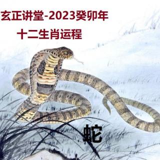 玄正讲堂-2023癸卯年十二生肖运程-蛇