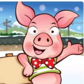 小猪🐷聪聪飞天记