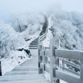 美文诵读《江南的雪》   朗读   茉莉