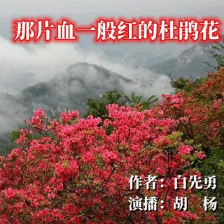 《那片血一般红的杜鹃花》 上