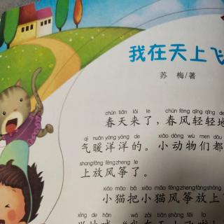 纺机幼儿园大二班常梓轩《我在天上飞》