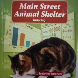 Main street animal shelter 2
