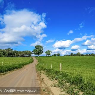 《故乡的路》作者：佚名