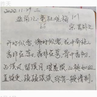 《盐角儿・亳社观梅》宋：晁补之   诵读：子梅