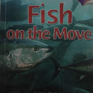 Fish on the move 1