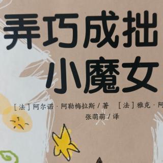 我爱阅读丛书（27）弄巧成拙的小魔女