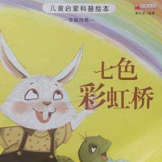 《七色彩虹🌈桥》