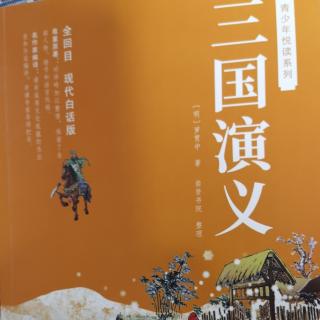 《昊霖讲三国——第四回 下》