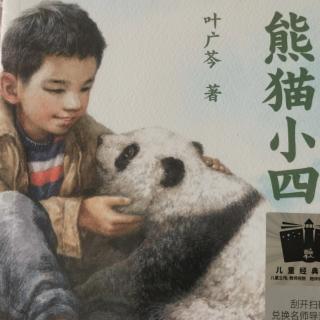 《熊猫小四·竹林有洞天》
