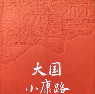 《Da国小康路》第四章构建新型工农城乡关系的必然选择2003-2012