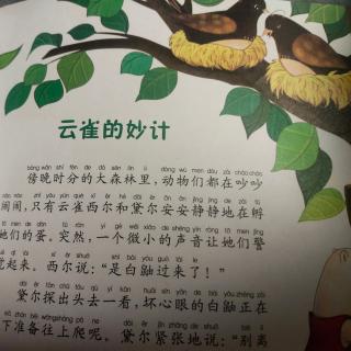 纺机幼儿园大二班常梓轩《云雀的妙计》