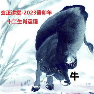 玄正讲堂-2023癸卯年十二生肖运程-牛