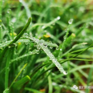 滴落心底的冬雨