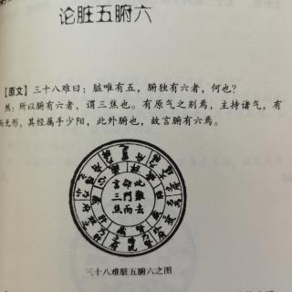 难经～第三十八难～论脏五腑六