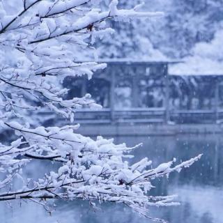 海鸥诵读《冬念，一场雪的倾城》（作者:王福信）