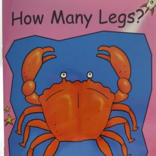 How Many Legs