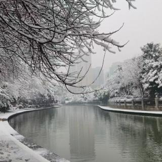 雪之韵  白绪雷