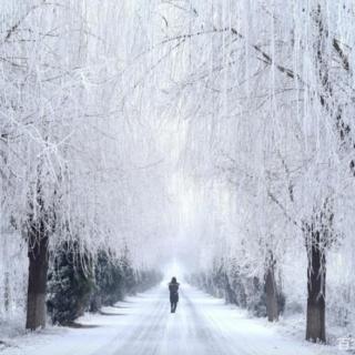 下一场雪  作者：雪原