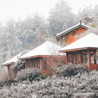 癸卯年.冬雪作者:朝暮  朗诵/长明