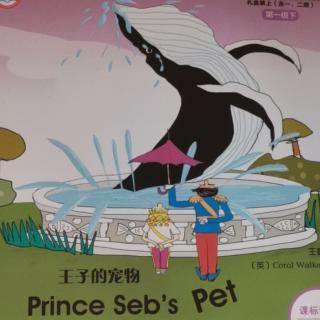 《Prince Seb's Pet》