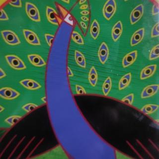 Peacock's tail