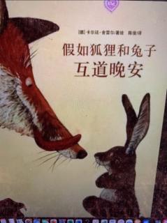 假如狐狸🦊和兔子🐰互道晚安