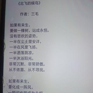 《侯鸟》