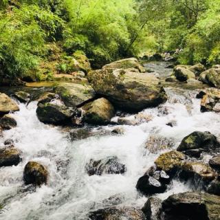 AE(DK) ZHANGJIAJIE MOUNTAINS